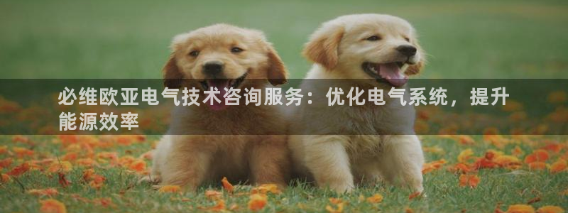 凯发平台开户