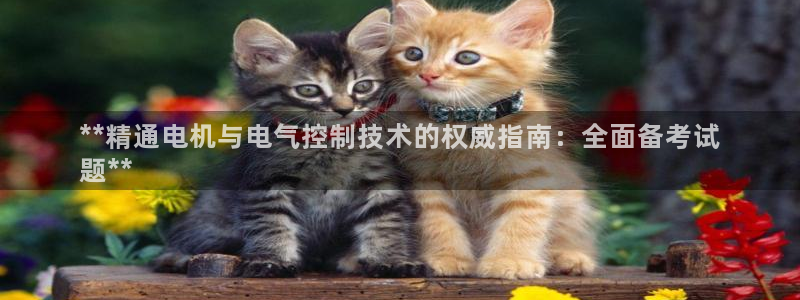 凯发k8国际真人版安全送38元