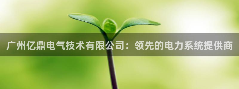 国际凯发k8真人版旗舰厅