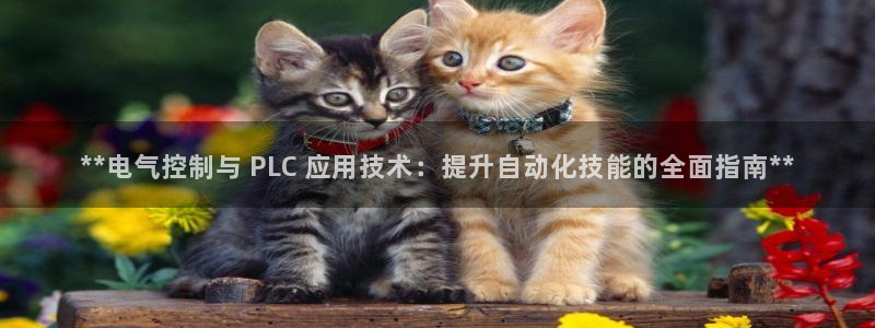 凯发官网手机app