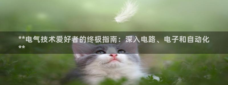 凯发手机app官网