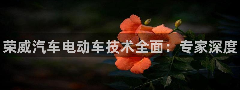 凯发k8娱乐官网地址app下载 | 首页