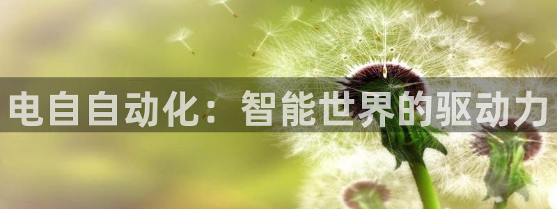 凯发线上app苹果版下载