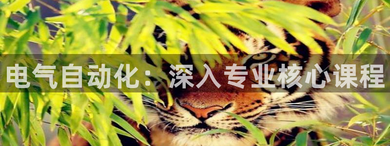 凯发旗舰厅