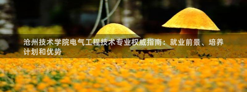 凯发国际网站