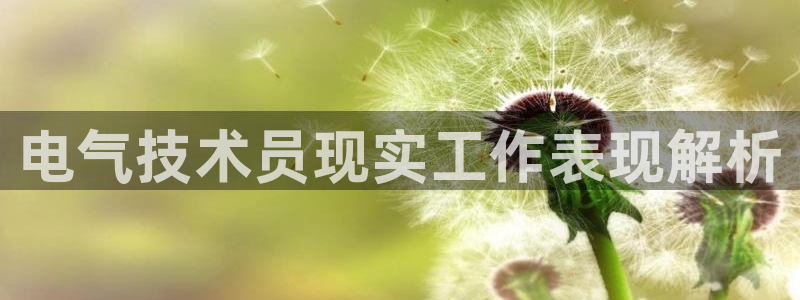 凯发官网入口首页：电气技术员现实工作表现解析