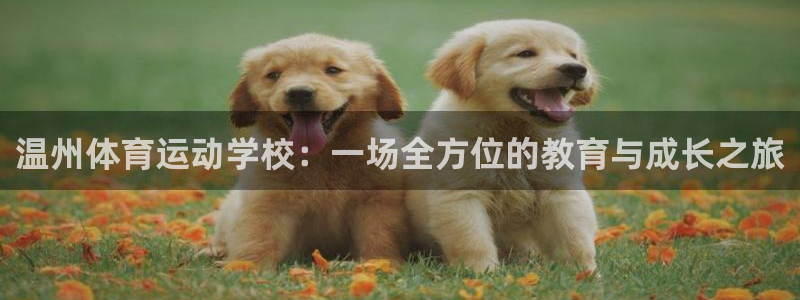 77体育app下载官网