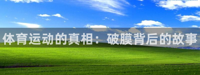 77体育